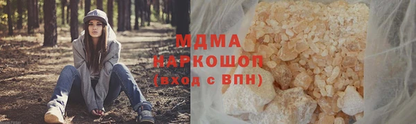 шишки Бородино