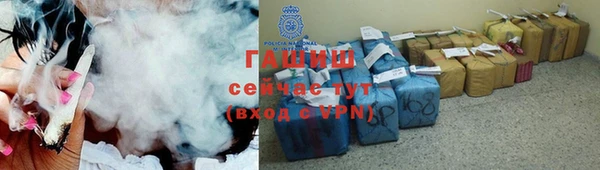 шишки Бородино