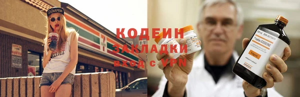 шишки Бородино