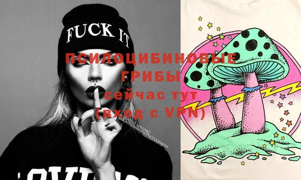 МДПВ Бронницы