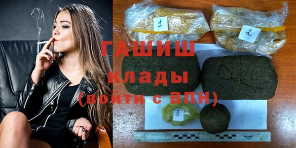 шишки Бородино