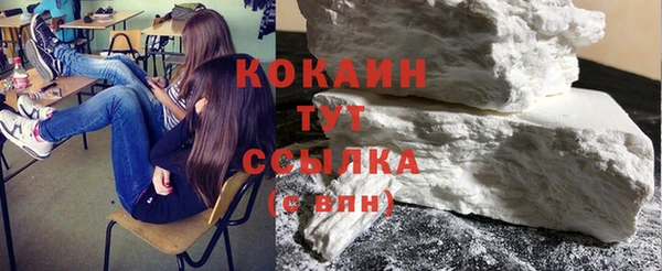 шишки Бородино