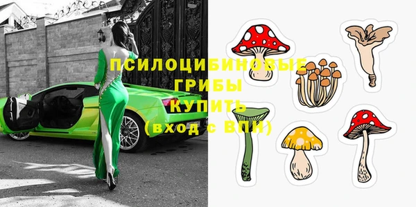 МДПВ Бронницы