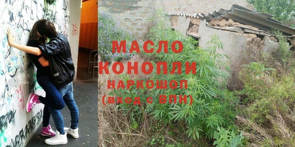 шишки Бородино