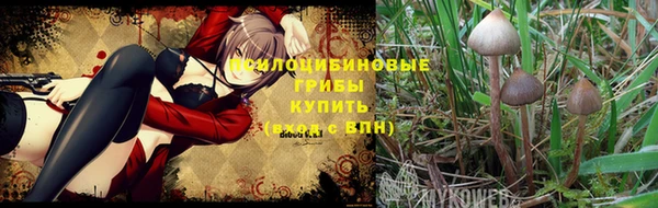 шишки Бородино