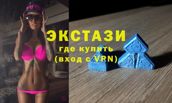 шишки Бородино