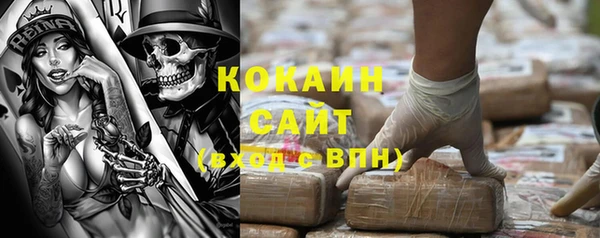 шишки Бородино