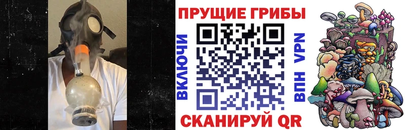 Купить  Медвежьегорск  Псилоцибиновые грибы мицелий 